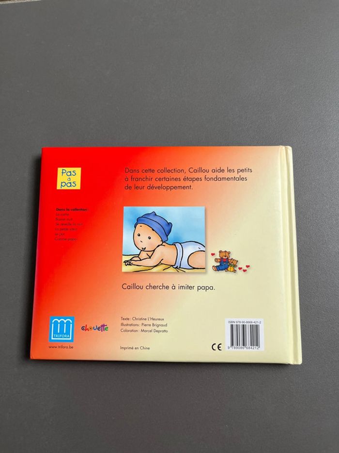 Livre caillou comme papa - photo numéro 2