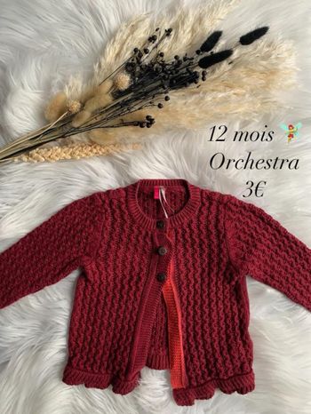 Gilet 🧚‍♀️ 12 mois 🧚‍♀️ Orchestra