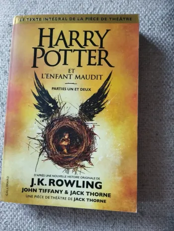 Harry Potter et l'enfant maudit