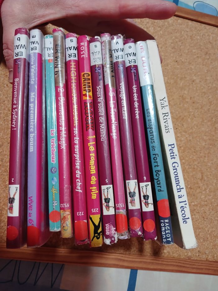 Lot de 12 livres - photo numéro 3