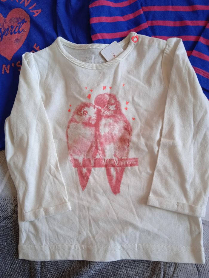 Lots de 3 sweats coton organic - photo numéro 2