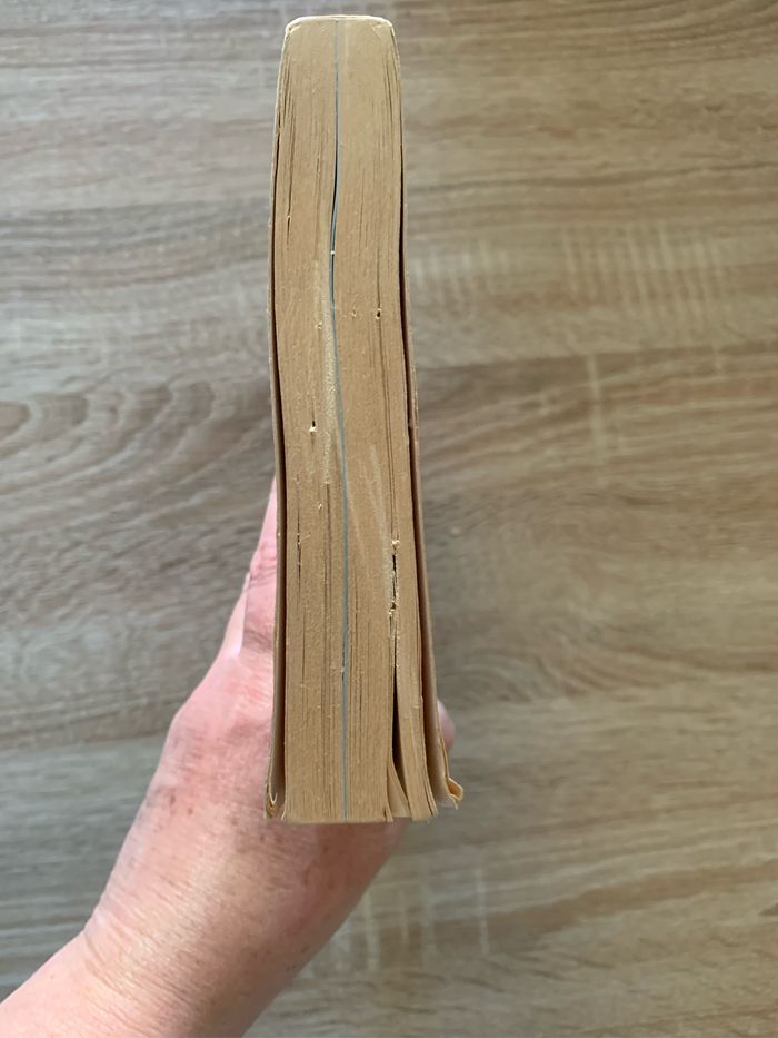 Shahidas les femmes kamikazes de Palestine - photo numéro 4