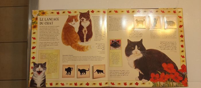 Sa majesté le chat pour les amoureux des chats - photo numéro 2