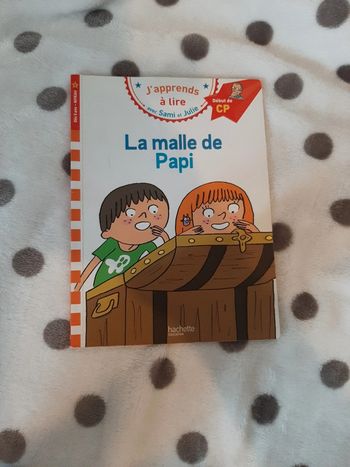 Livre sami et julie : la malle de papi