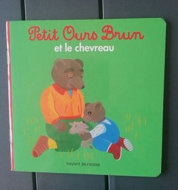 Livre petit ours brun