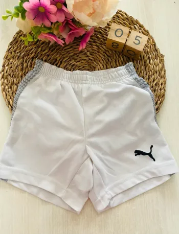 Short Puma