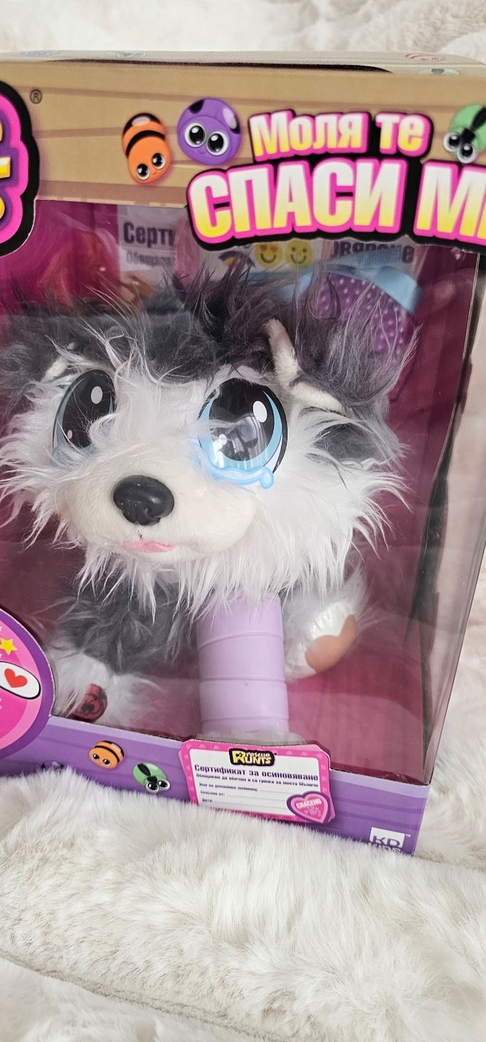 Soigne le petit chien 🐕 Runts avec tous ses accessoires Neuf - photo numéro 2