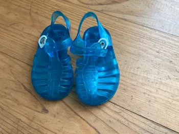 Méduses bleues 18-20