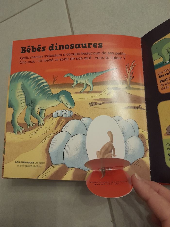 Kididoc les dinausaures - photo numéro 3