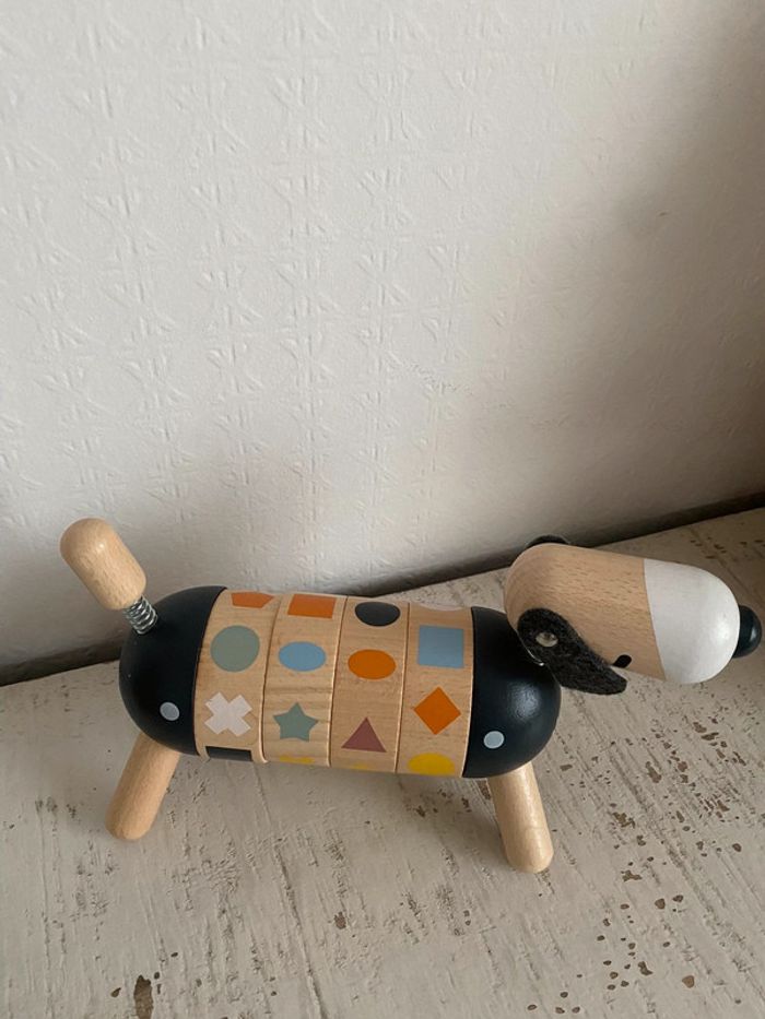 Chien Janod - photo numéro 2