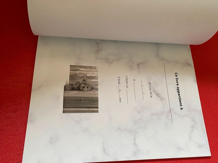 Mon livre de naissance - photo numéro 4