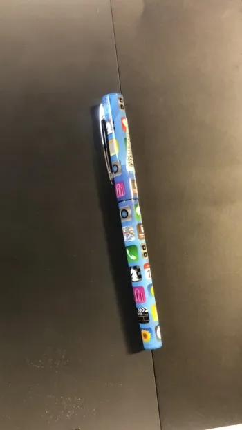 Stylo plume