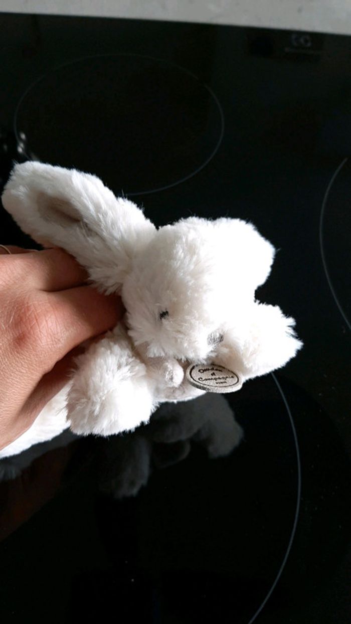 Doudou lapin - photo numéro 2