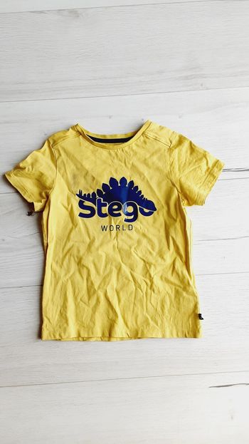 Vêtement garçon Okaïdi tee-shirt manches courtes dinosaure Stégosaure 6 ans