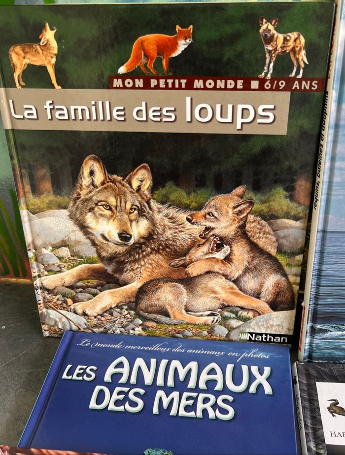 Atlas des juniors - photo numéro 7