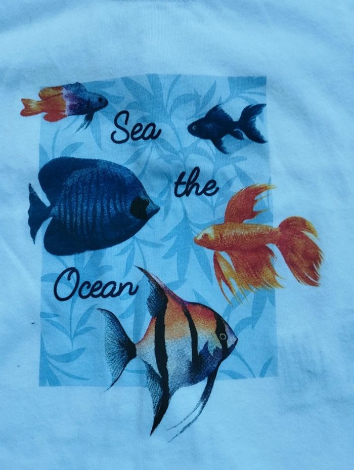 Lot t-shirts manches courtes garçon 12 mois - photo numéro 3