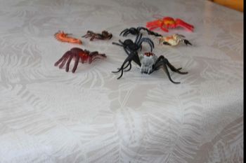 lot  d'araignées et  de scorpion