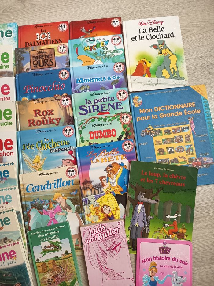 Livre pour enfants - photo numéro 4