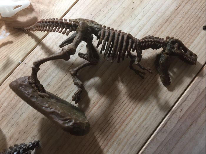 4 puzzles 3D dinosaures - photo numéro 2