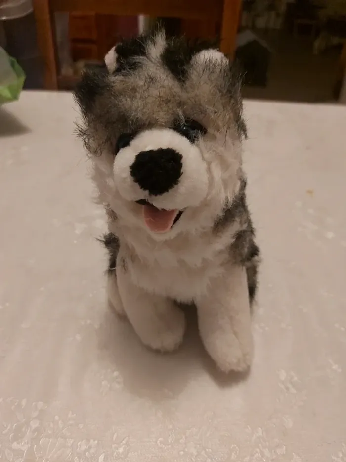 Peluche Husky