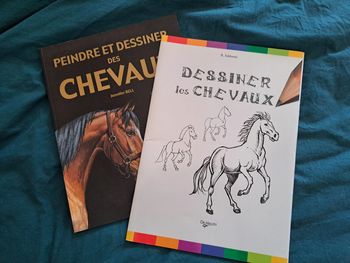 lot de 2 livres dessiner les chevaux