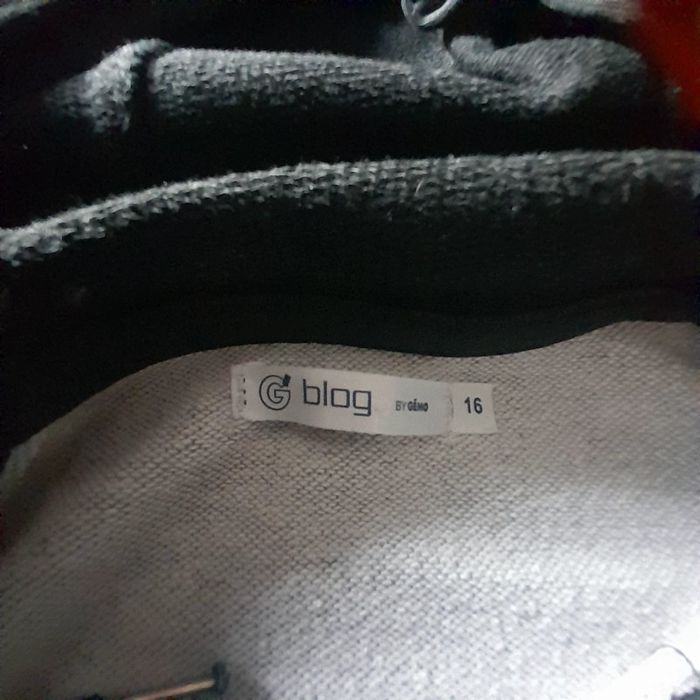 Sweat gemo 16 ans en très bon état - photo numéro 2