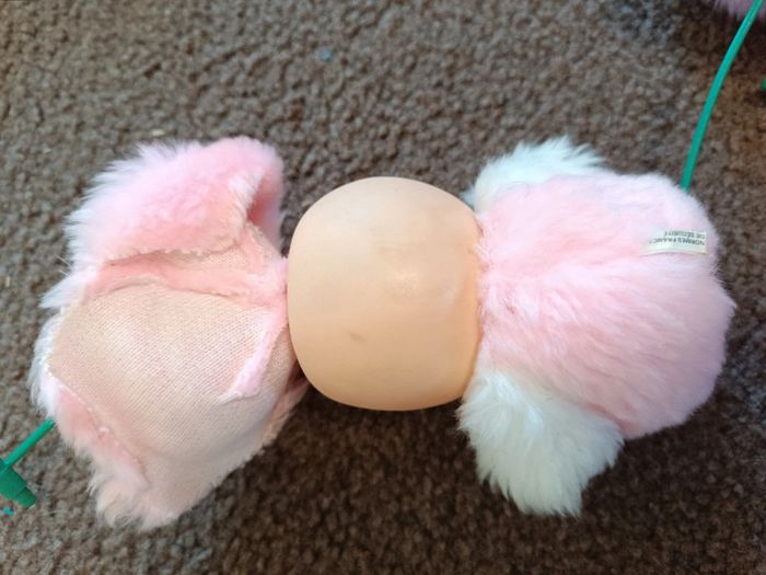 Lot cerisier fruiti Takara ajena - bien lire ne pas acheter - photo numéro 11