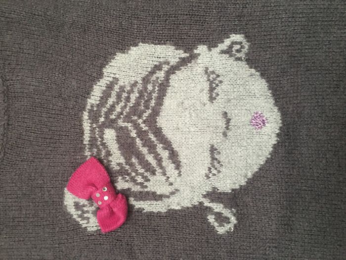 2 robes 8 ans - photo numéro 4