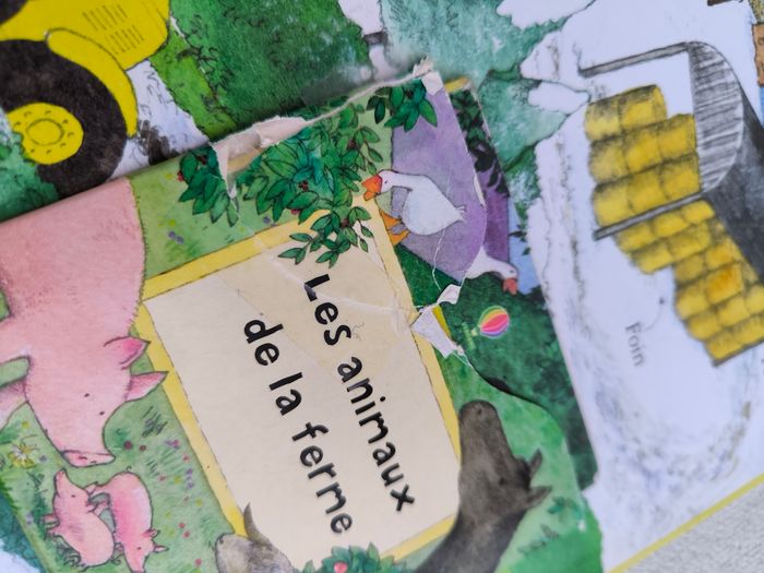 Livre À la ferme Usborne - photo numéro 8