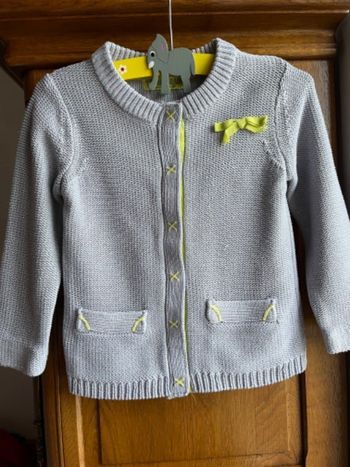 Gilet gris Vynil fraise