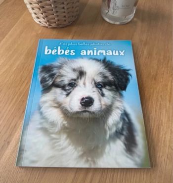Livre les plus belle photos des bébés animaux
