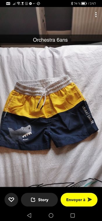 Short, de bain shark requin