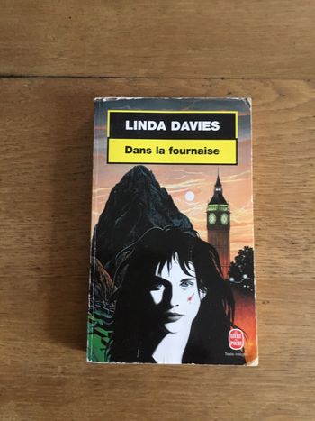 Livre «  dans la fournaise »