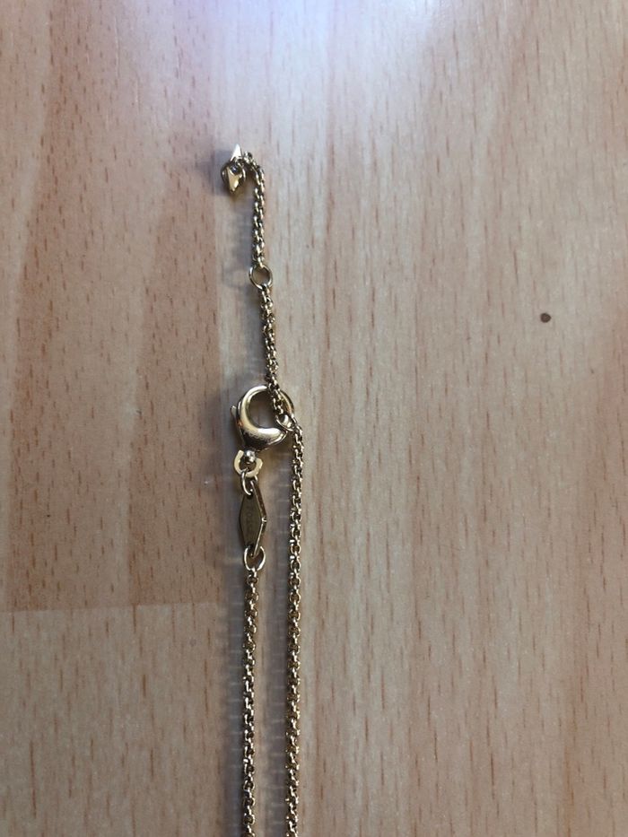 Collier fossil - photo numéro 3