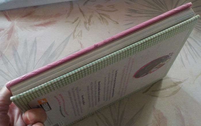 Au galop ! avec Sophie Thalmann Tout savoir sur le cheval - photo numéro 4