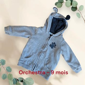 Veste Roi Lion Orchestra taille 9 mois