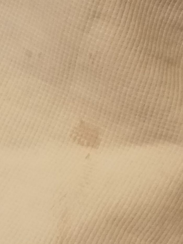 Bermuda - photo numéro 4