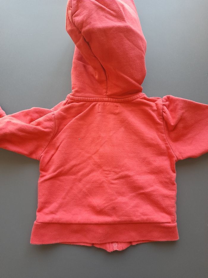 Sweat a capuche 6mois - photo numéro 3