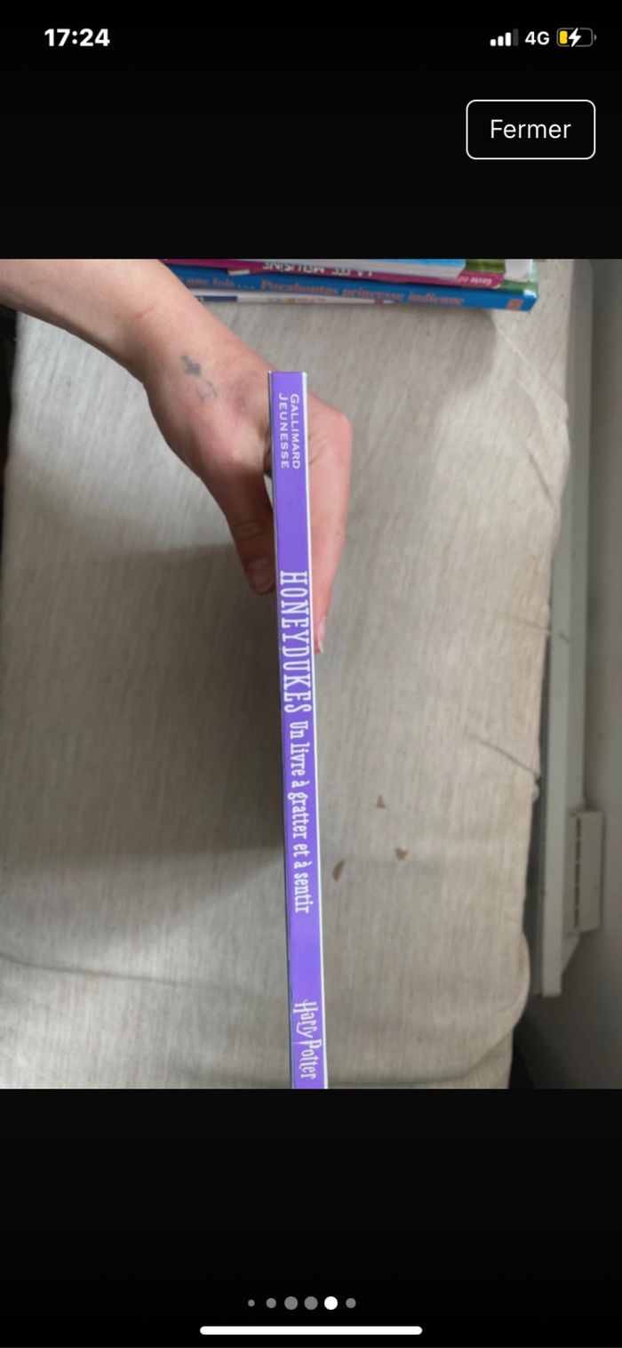 Livre à gratter et sentir Harry Potter honeydukes - photo numéro 8