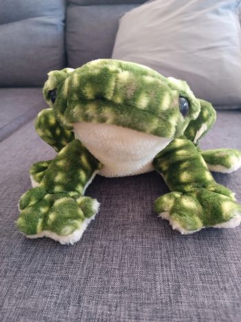 Doudou peluche grenouille
