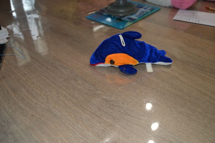 dauphin - photo numéro 2