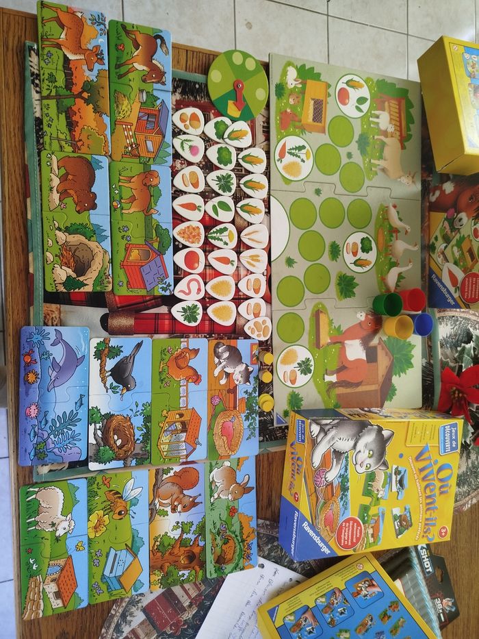 Lot de deux éducatifs - photo numéro 3