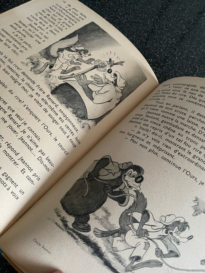 Contes de l’oncle Remus - photo numéro 6