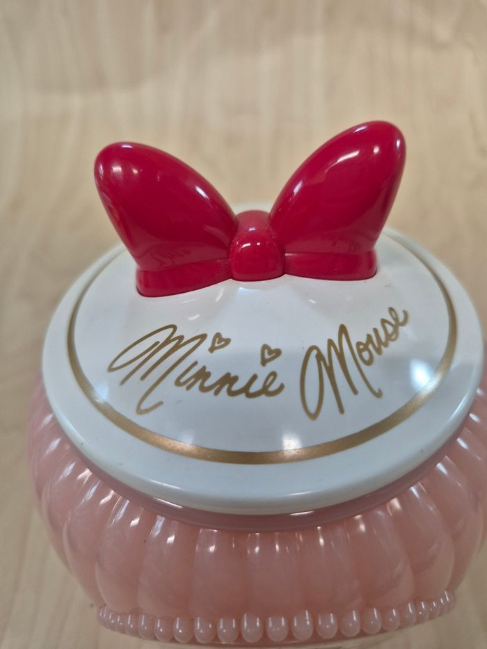Boîte à biscuits Tokyo Disney Resort : Minnie Mouse - photo numéro 6