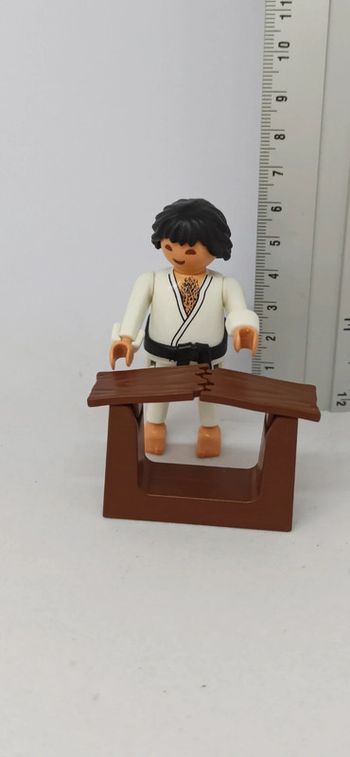 Homme karatéka avec planche à casser playmobil