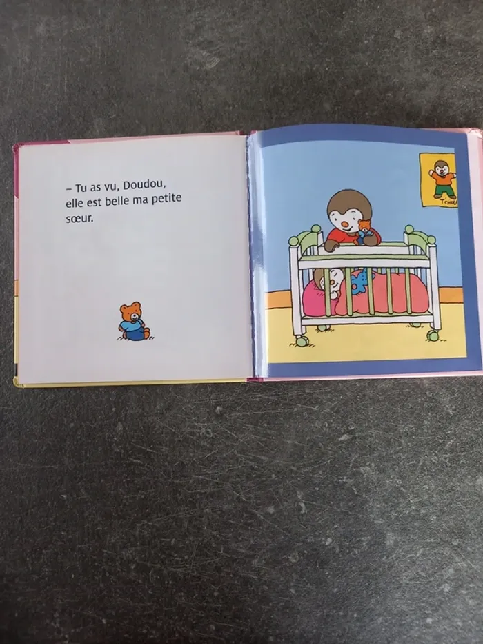 Livre T'choupi a une petite sœur - photo numéro 7