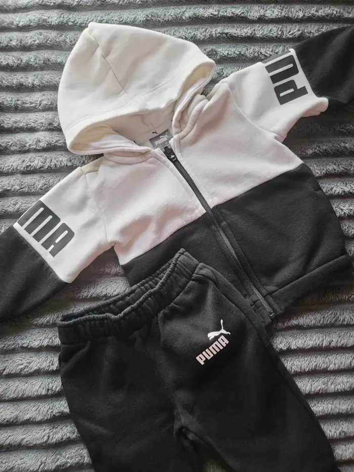 Ensemble puma