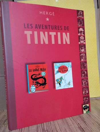 Les aventures de Tintin club France loisirs 2007 Casterman