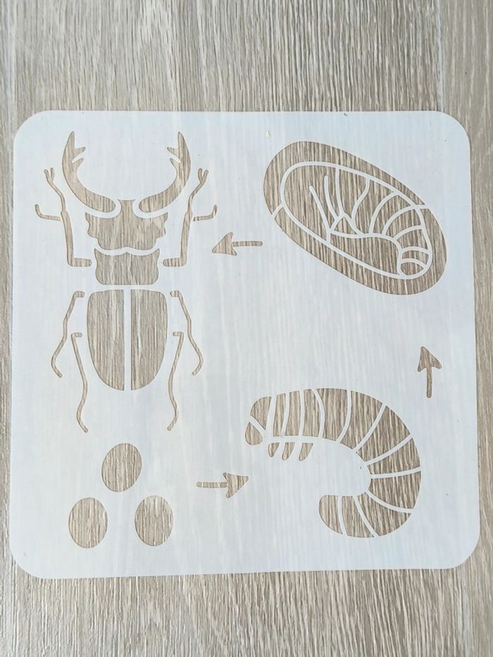 Pochoir du cycle de vie du lucarne cerf-volant - photo numéro 2