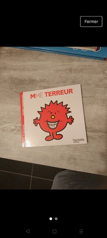 Livre Mme terreur